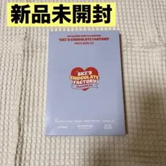 【新品未開封】スキズ 2nd ペンミ フォトブックセット