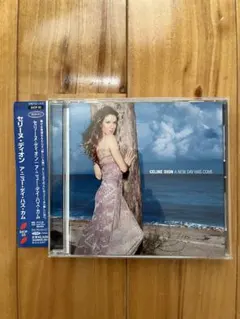 Celine Dion A New Day Has Come