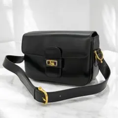 極美品✨ DELVAUX デルヴォー ショルダーバッグ ブラック D金具 - メルカリ