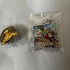 Magical Volcano ピンバッジとキーホルダーセット