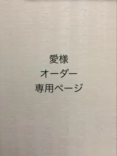 愛様 オーダー専用ページ