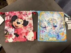 ディズニーリゾート　タグ付き巾着　2点