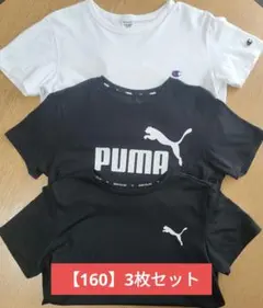 【160】プーマ チャンピオン Tシャツ　PUMA 男の子