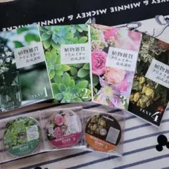 Item thumbnail for item d2a5d767-386d-4223-85d7-27f13b68bae3