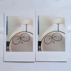 Jasper ジャスパー CrazyRaccoon SELFIE CARD CR