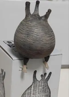 OZWRT TheCaudexMan pachypodiuman B ssサイズ