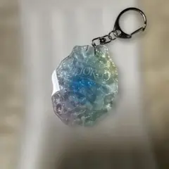 フィヨルド アクスタ