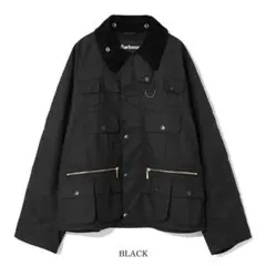 Item thumbnail for item eb53ec22-c480-4508-9681-c3f126e8a93f