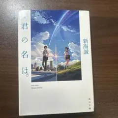 新海誠 文学・小説