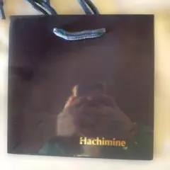 Item thumbnail for item 6e51286b-14f7-4c8d-a6c3-ed4949215b72