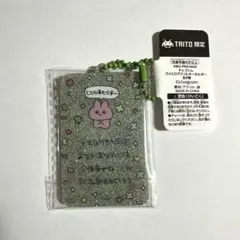 체고심 반짝이는 아크릴 열쇠 고리 TAITO 한정 프라이즈(게임센터 경품)