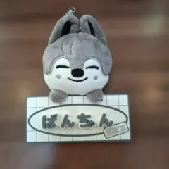 2026年最新】グループ名：Stray Kids ぬいぐるみ・マスコットの人気