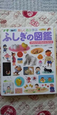楽しく遊ぶ学ぶ ふしぎの図鑑