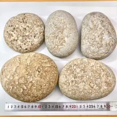 姫川薬石 大きめ5個詰め合わせ 8.9kgのサムネイル