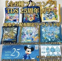 TDS ディズニーシー ミニチュアショッピングバッグ 全6種 コンプリートガチャ TDS ディズニーシー ミニチュアショッピングバッグ 全6種 コンプリート
