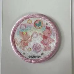 ダッフィー&フレンズ周年20カラフルハピネス　ワッペン　リーナベル&シェリーメイ