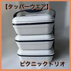 【タッパーウエア】ピクニック トリオ 弁当 アウトドア バーベキュー 説明書ありのサムネイル