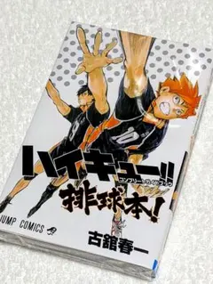 ハイキュー価格　ハイキュー　コンプリートガイドブック　排球本　中古本