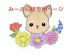 みーさん様専用ページ
