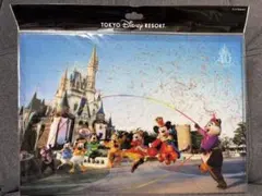 ディズニークリアファイル imaging the magic