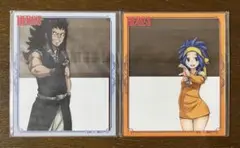 フェアリーテイル FAIRYTAIL アクリルフォトフレーム ガジル レビィ