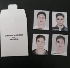 成分エディター バーノン 写真カードセット 4枚入り