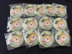 専用カラフルピーチタワーシヴァ缶バッジ20個セット - メルカリ