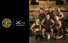 GOLD'S GYM ワコールコラボ CW-X ジェネレータウィメンズ ブラック