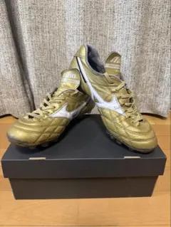 2026年最新】モレリアulの人気アイテム - メルカリ