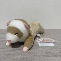 くったりろんぐフェレットチャーミー　ST　らてちゃんおねむ　フェレットぬいぐるみ