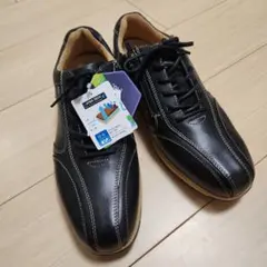 Item thumbnail for item 20b0ad46-8dc2-4e2a-ae38-0e5473914dad