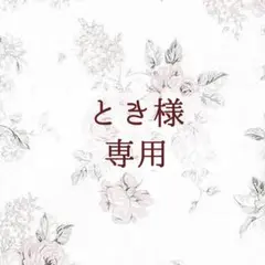 専用ページ