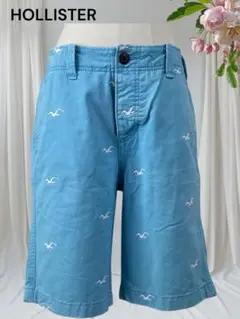No167 HOLLISTER 半ズボン ハーフパンツ ブルー青 総柄カモメ刺繍