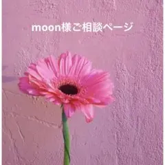moon様ご相談ページ