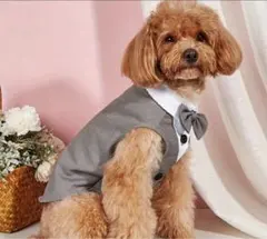 Item thumbnail for item b08479ef-9d49-4ba4-b446-1d57a5a3e02b