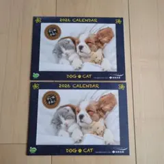 Item thumbnail for item aad13ae9-0b44-4d71-85c2-778e9718c06f