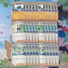 ポケモンカード ジムプロモ ジーランス&ジェット&ミツルの思いやり30枚セット