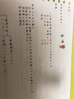 Item thumbnail for item 317b58db-df0b-40d6-ae81-92dc9e556250