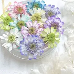 M.Y.S♡様 リクエスト 2点 まとめ商品