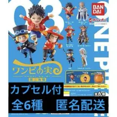 【特価】ワンピの実　まとめ売り　144個 2025年最新】ワンピの実まとめ売りの人気アイテム - メルカリ
