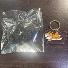 廃盤】Saucy Dog 2枚セット ウソツキノナミダノワケ サウシードッグ