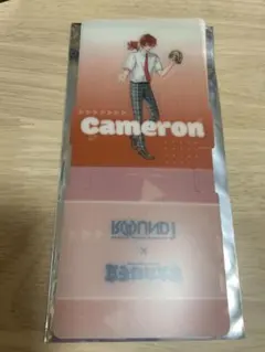 女子研究大学　ラウンドワン　キャメロン　スタンディコースター