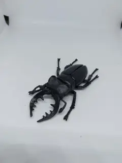 週末限定お値下げ　福岡県産　ミヤマクワガタ　標本 74mm 初売り】 標本】 特大 ケルブス（ヨーロッパ）ミヤマクワガタ