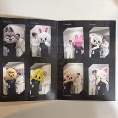Stray Kids Blu-ray 楽天ブックス 特典 8枚 コンプ トレカ - メルカリ