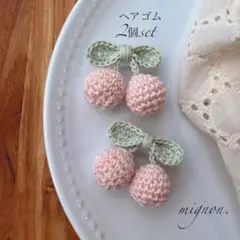 No.5 ❁ *:.。ベビー & キッズ ベビーヘアクリップ　ベビーヘアゴム