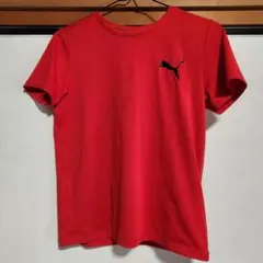 Puma Tシャツ 赤 紺セット 140センチ