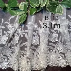 B 13 チュールレース
