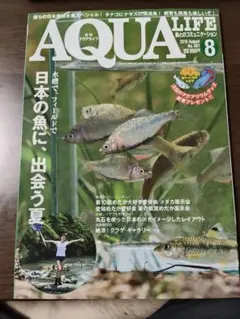月刊アクアライフ 2019年8月号 日本淡水魚