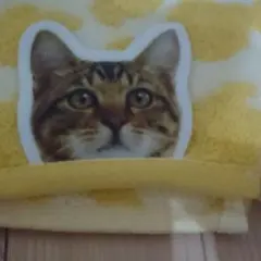 ファミリア&レスポ バッグ 打合せ用