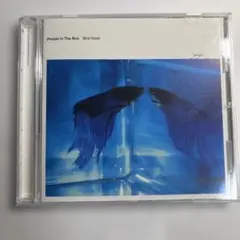 【CD】People In The Box まとめ売り 2026年最新】people in the boxの人気アイテム - メルカリ